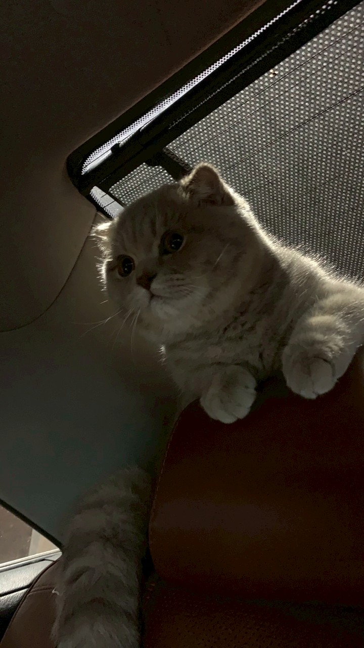 กลุ่มบ้าน