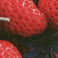 夜のお姉様方の参考書