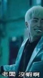 提爾天堂-台灣彩卷盟