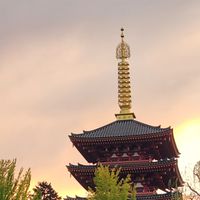 学生限定雑談&相談オプ