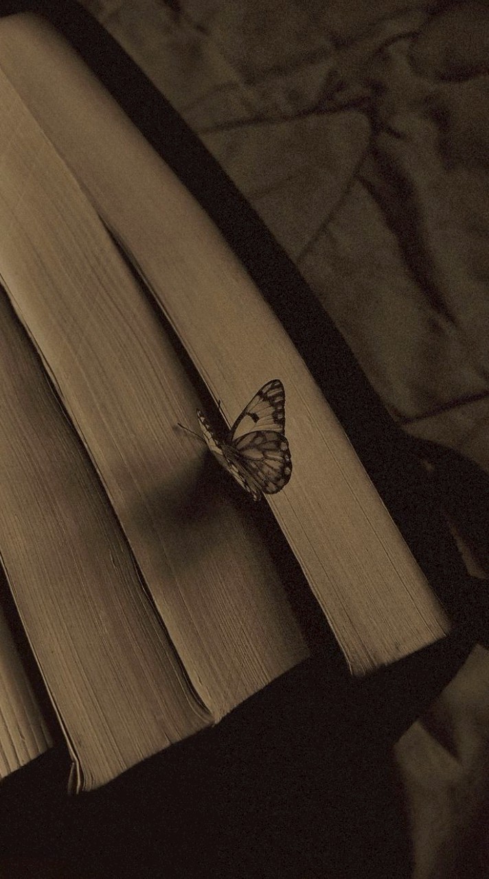 ᴘᴇᴛᴀꜱʏɴᴇ