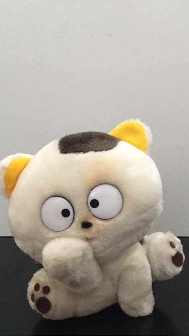 MAKOちゃんねるのパドック情報