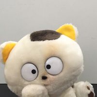 MAKOちゃんねるのパドック情報