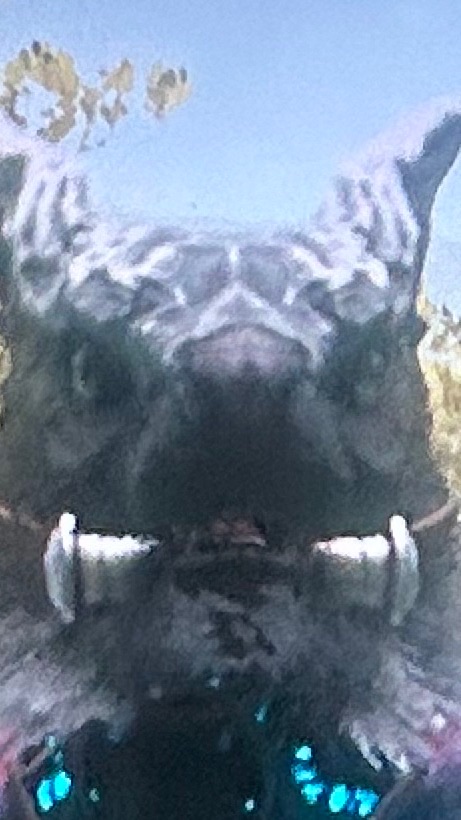 ARK     もんぐらーる