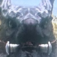 ARK     もんぐらーる