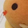 トウヤク話題/東薬科過去問共有