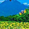 CKGO- メカアリーナ