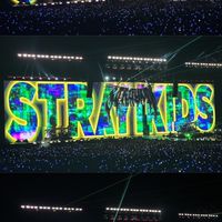 SKZ迷孩 應援