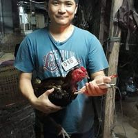 อ.เวียงบัว พะเยา