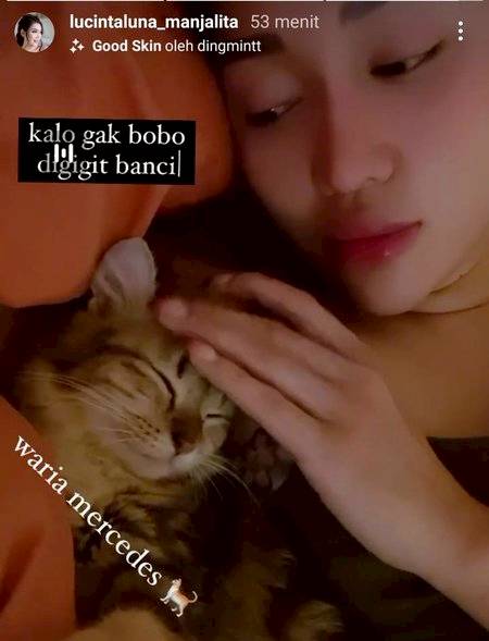Siap Grak! 7 Potret Waria Mercedes Kucing Lucinta Luna Yang Lucu 