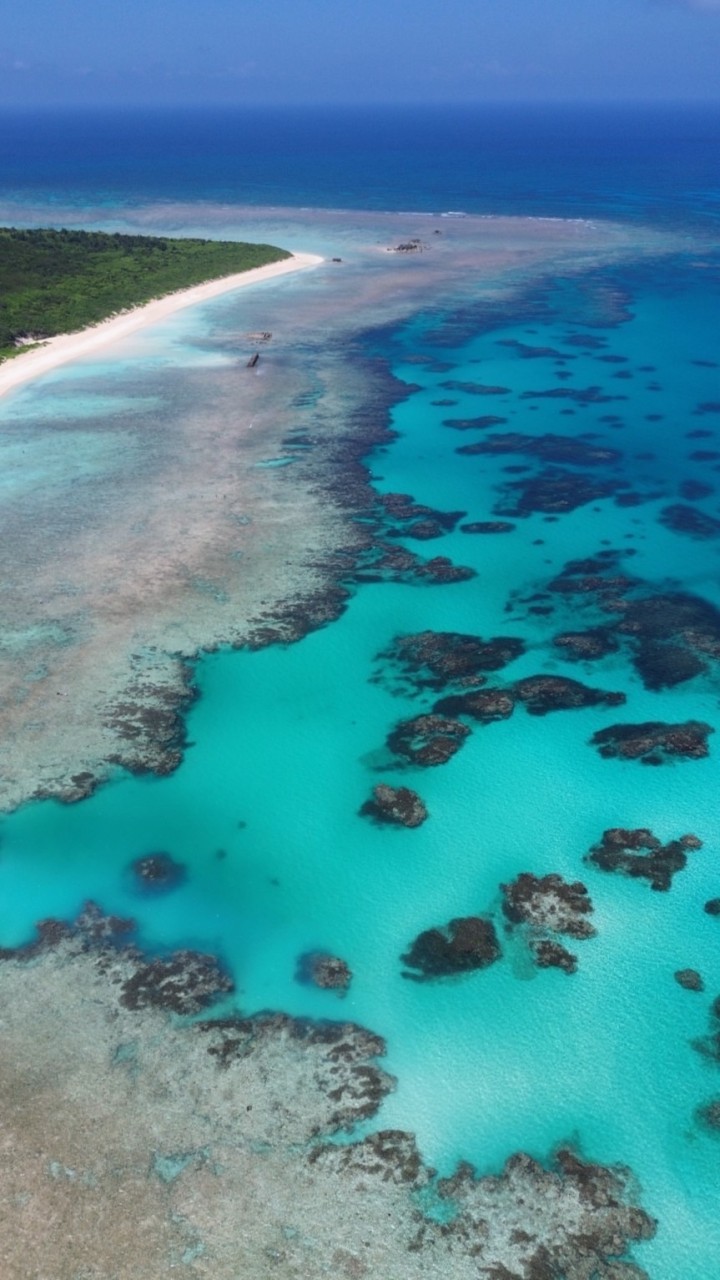 石垣島トリオ | 観光案内所🏖️