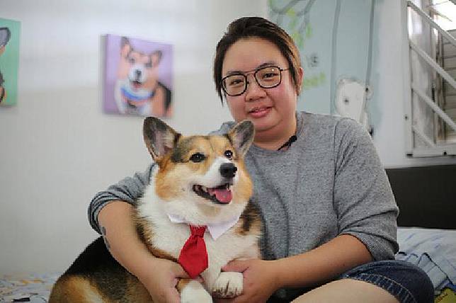 Anjing Corgi Ini Populer Di Singapura Kenapa