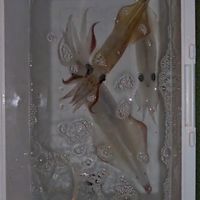 福岡/博多・玄界灘🎣釣りマニア✨
