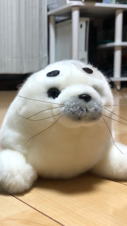 あざらしの会のオープンチャット