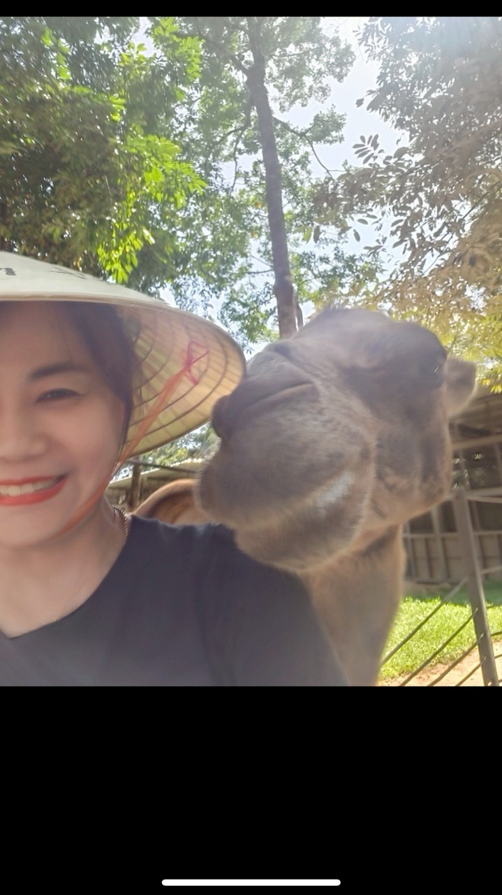 親友旅遊優惠 | 旅遊規劃 |早鳥|家族旅行|員工旅遊|婚禮蜜月|