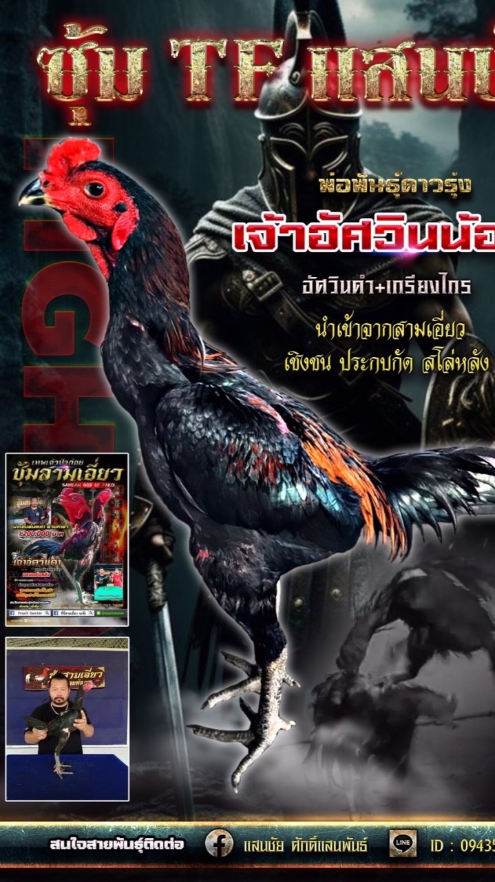 ซุ้ม.TF แสนชัย
