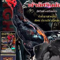 ซุ้ม.TF แสนชัย