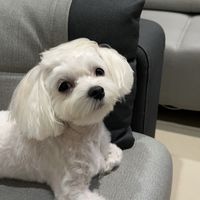 可愛寶寶