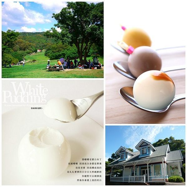 【苗栗】飛牛牧場-單人入園全票+飛牛白布丁壹組