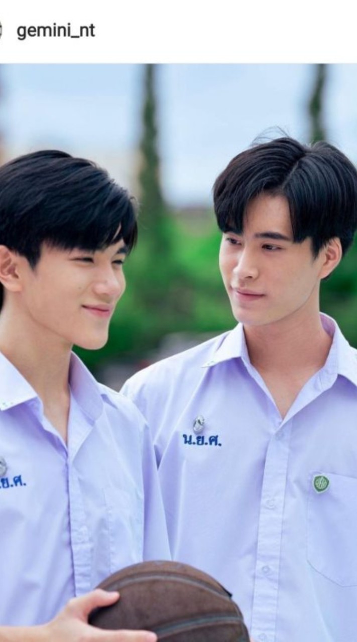 มัมหมีของ เจมีไนน์ โฟร์ท
