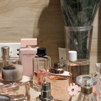 xmaryperfume