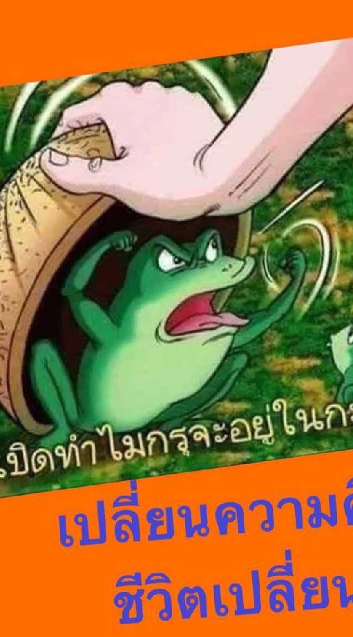 กบ...เปิดกะลา  ชุมชนดารุลคอยร์            ยะกัง2