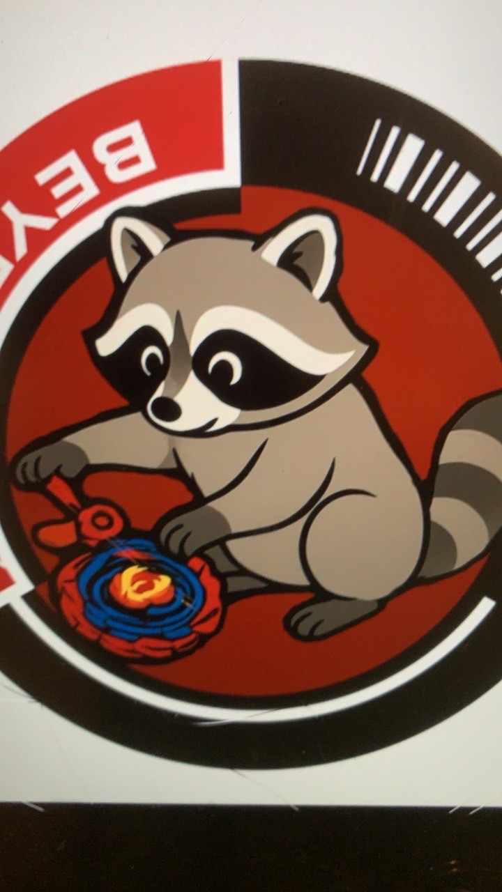 Raccoon x