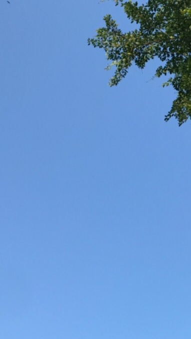 PS-出生入死/生死學