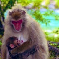 皆のモンスト広場〜優しい人ばっかりです〜