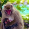 皆のモンスト広場〜優しい人ばっかりです〜