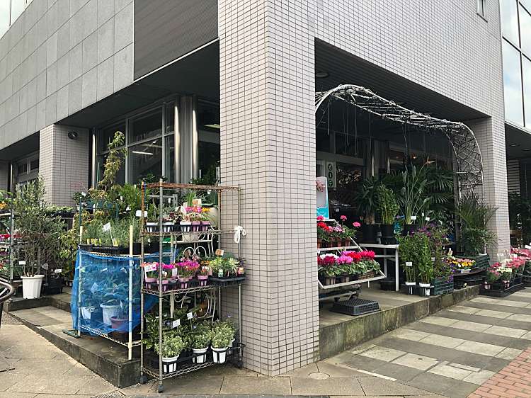 ガーデニングステージ 野沢 三軒茶屋駅 ホームセンター By Line Place