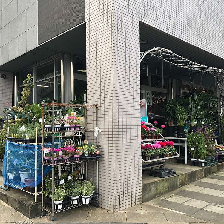 ガーデニングステージ 野沢 三軒茶屋駅 ホームセンター By Line Place