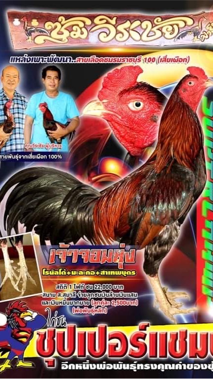 ซุ้มวีระชัยไก่ชน แหล่งเพาะพันธุ์สายเลือดชมรมราชบุรี(เสี่ยเผือก)