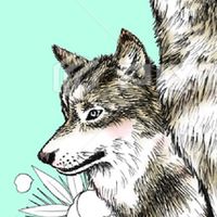 人狼ゲームやろ🐺🖤雑談もしよう！！！