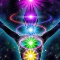 瞑想の館🧘‍マインドフルネス実践教室✨ヨガ&アーユルヴェーダ研究🍀