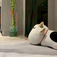 new 美麗人生