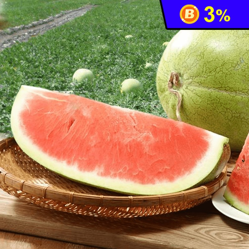 【金山水果】花蓮玉里大西瓜