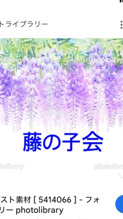藤の子会