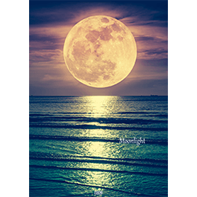 幸運を引き寄せる 月夜の海