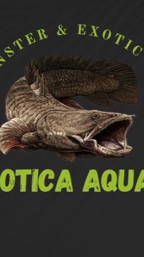 Exotic Aquatic