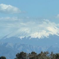 芮芮的奇幻旅程