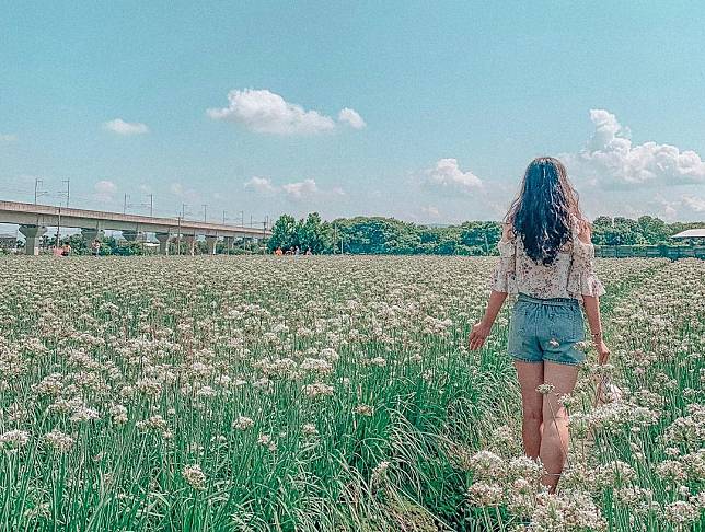 ▲北斗韭菜田。（圖/IG @abcd10082）