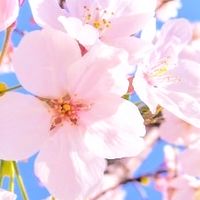 【山形大学】2026人文社会科学部新入生 情報発信＆質問受付