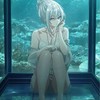 パラノイズオプ