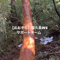 屋久島ワークショップサポート
