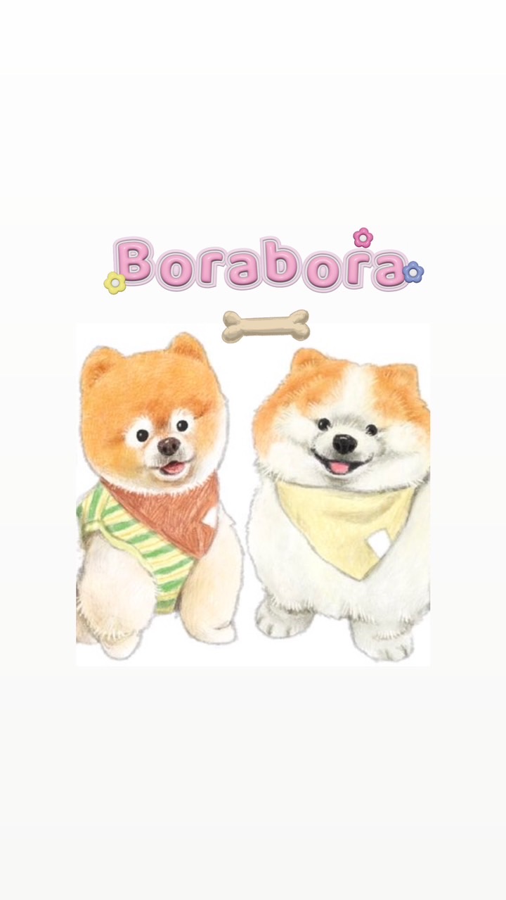 Borabora.Bow~🐾💜
