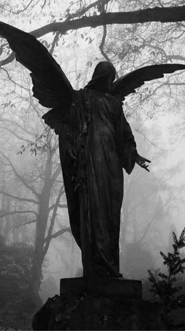 Murderer School [Lookism]