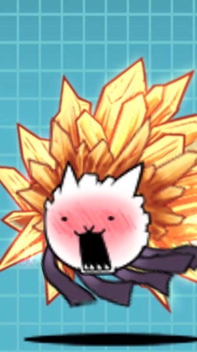 にゃんこ初心者〜上級者の憩いの場