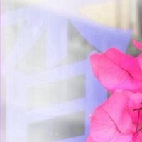 香巷種子館ScentimerClub聯誼俱樂部