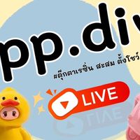 pp.diy 🌈 อัพเดทสินค้า